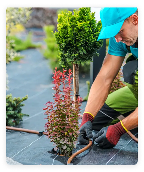 Landscaping